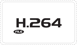 H.264